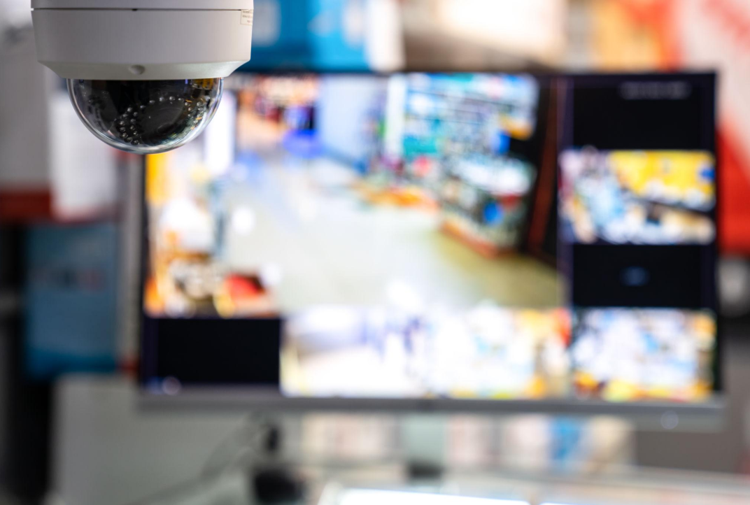 Fixed surveillance systems